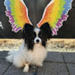 Meet your Posher, Wendy